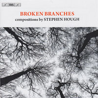 BROKEN BRANCHES